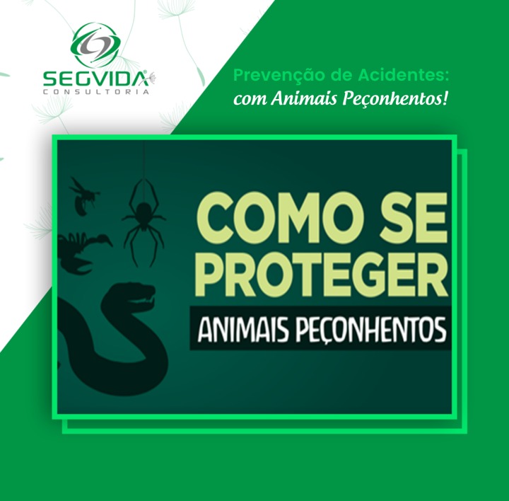 Como evitar animais peçonhentos: faça o quiz e aprenda