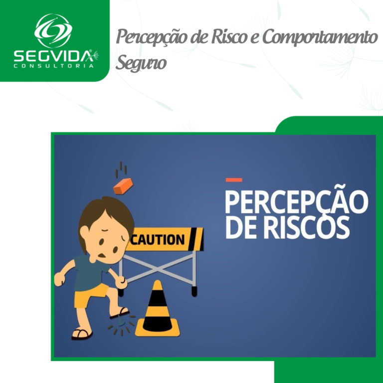 Percepção de risco e comportamento seguro • Segvida