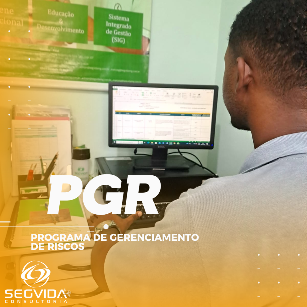 O QUE O PROGRAMA RECÉM CHEGADOS? • Segvida